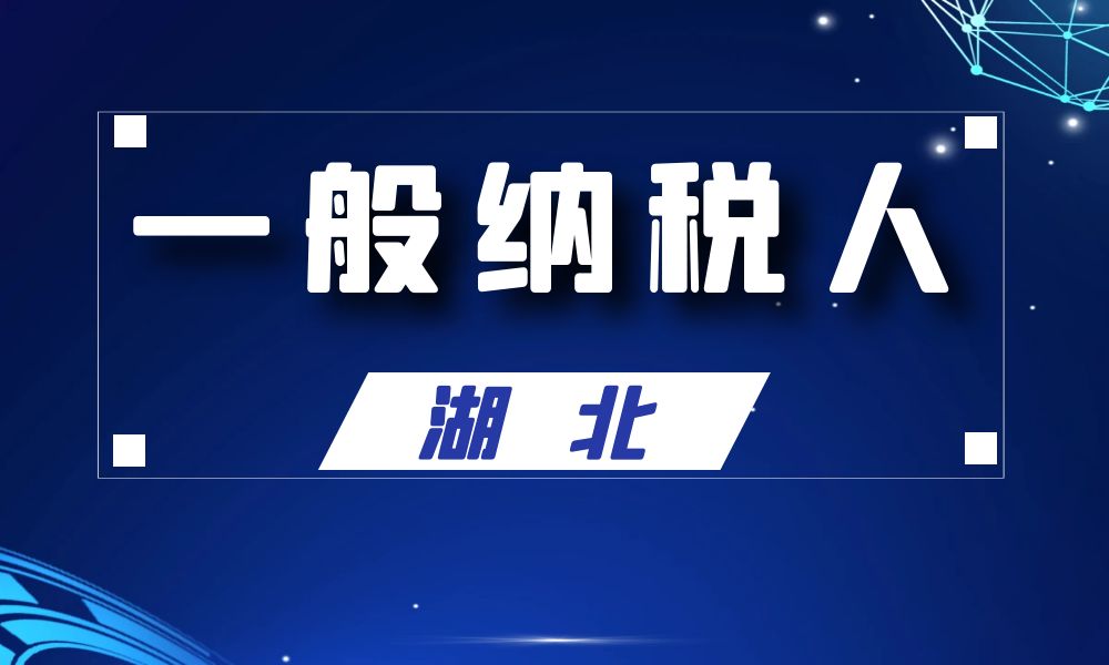 湖北省一般纳税人公司名单工商名录_29199条-数据大集